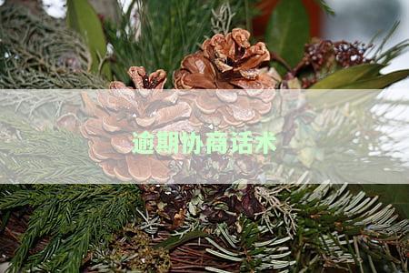 网贷逾期协商话术及申请停息挂账指南