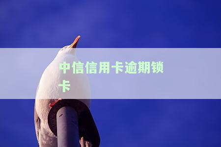 中信信用卡逾期锁卡怎么解锁