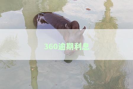 360逾期利息是多少，怎么计算，费用是多少，2021年一个月多少