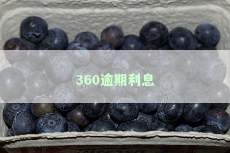 逾期利息那么高，不还会怎么样？