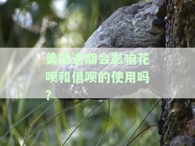 美团逾期会影响花呗和借呗的使用吗?