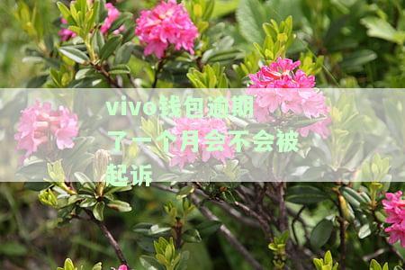 vivo钱包逾期一个月会不会被起诉？逾期超过60天还能再用吗？逾期4天会自动扣款吗？如无法借款怎么办？逾期多久会被联系家人朋友？