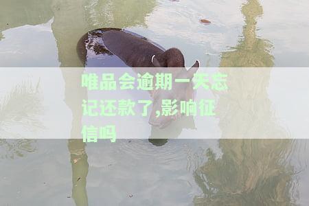 唯品会逾期三天还款算不算征信有问题，逾期后还款了额度多久能恢复使用？