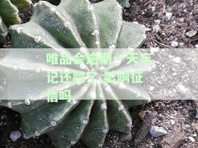 唯品会逾期几天会要求一次性结清所有款，征信影响及起诉风险分析