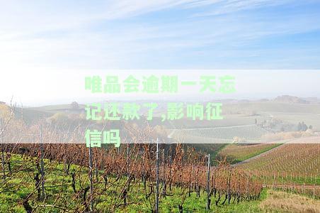 唯品会逾期后还款了额度多久能恢复使用？