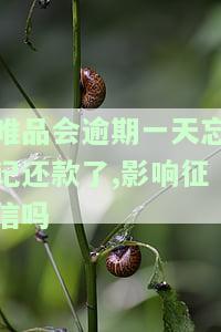 唯品会逾期一天忘记还款了,影响征信吗
