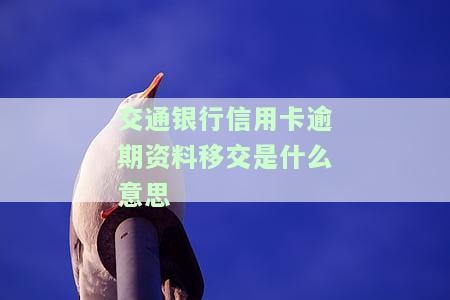 交通银行信用卡逾期资料移交是什么意思
