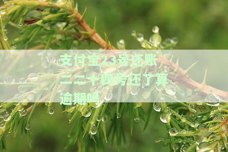 支付宝23号还账二二十四号还了算逾期吗安全吗？