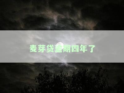 麦芽贷逾期四年了