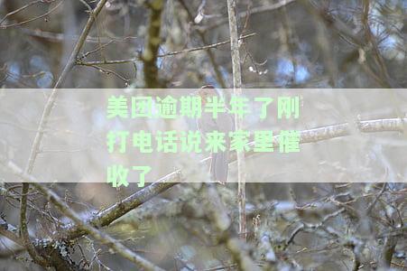 美团逾期半年了刚打电话说来家里催收了是真的吗