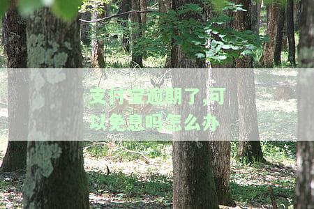 支付宝逾期可以减免利息吗