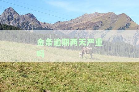 金条逾期两天严重吗怎么办