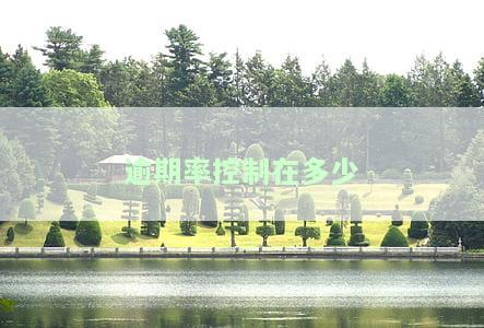 逾期率飙升对经济的影响