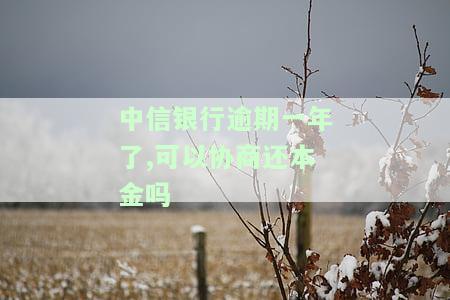 中信银行逾期一年了，可以协商还本金吗知乎文章及相关内容