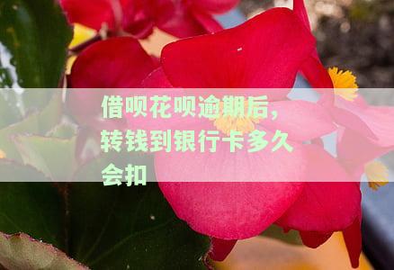 花呗借呗逾期了银行卡有钱会直接扣掉吗？怎么办？