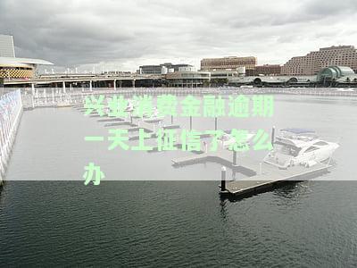 兴业消费金融逾期三个月后果及贷款还本情况