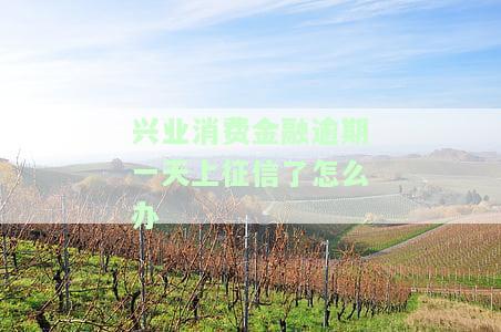 兴业消费金融逾期一天上征信了怎么办