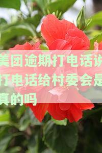 美团逾期打电话给村委会是真的吗？安全吗？