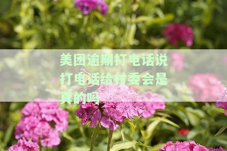 美团逾期打电话联系村委会是真的吗，安全吗？