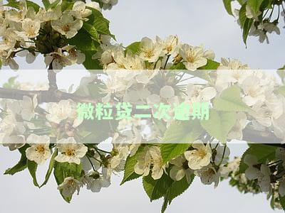 微粒贷二次逾期钱退回来了，怎么处理？