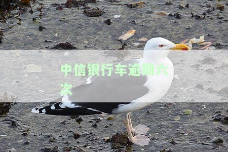 中信银行逾期还清后能恢复额度吗