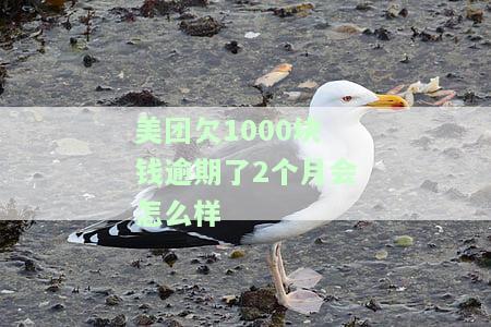 美团欠1000块钱逾期2个月会怎么处理？