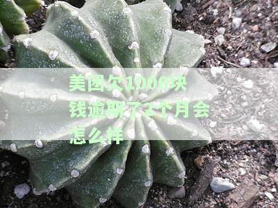美团欠钱300.逾期一个月会怎么样处理，逾期一个多月要还多少?