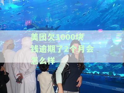 美团欠1000块钱逾期了2个月会怎么样