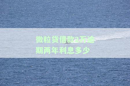 微粒贷借款2万逾期两年利息多少呢，未还会怎么样？