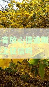 抖音放心借逾期两天上征信有影响吗？安全吗？
