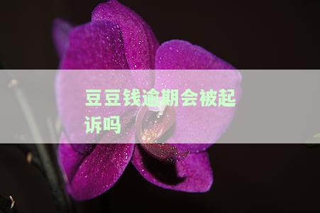 豆豆钱逾期会被起诉吗真还不上怎么办
