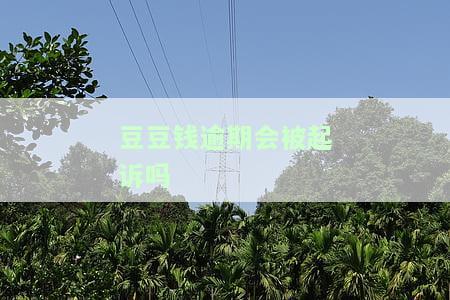 豆豆钱逾期会怎么样？