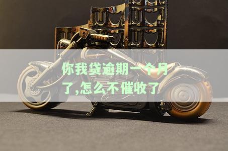 你我贷逾期一个月了,怎么不催收了