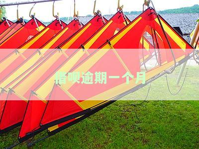 借呗逾期一个月会被起诉,真的会上门吗？