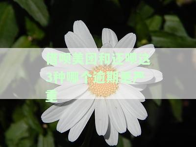 借呗与美团借款：完整指南