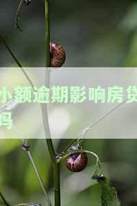 小额逾期影响房贷吗及相关影响分析
