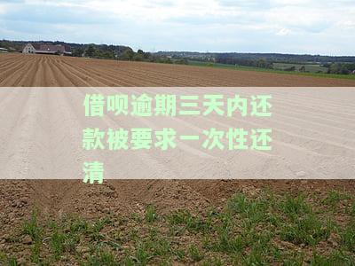 借呗逾期三天内还款被要求一次性还清违法吗？如何应对？