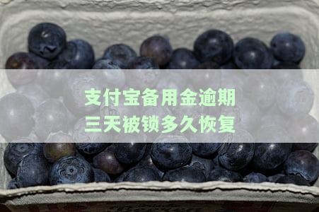 支付宝备用金逾期3天会有影响吗及应对措？