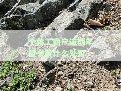 个体工商户逾期年报处罚规定