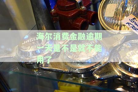 海尔消费金融逾期一天还款后有影响吗，怎么办？