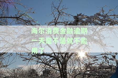 海尔消费金融逾期两天会上报人行吗，安全可靠？