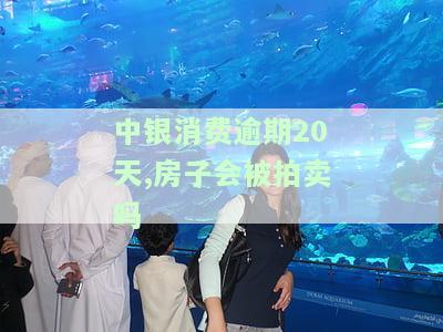 中银消费逾期20天，房子会被拍卖吗为什么不能买，怎么还逾期两年的钱？
