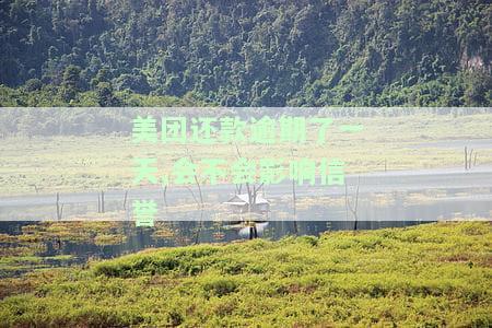 美团还了一天会不会上报征信