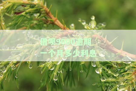 借呗逾期900多天还能取出来不