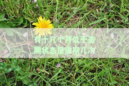 有十几个月处于逾期状态是逾期几次