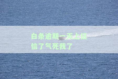 白条客服说逾期一天就上征信怎么办？