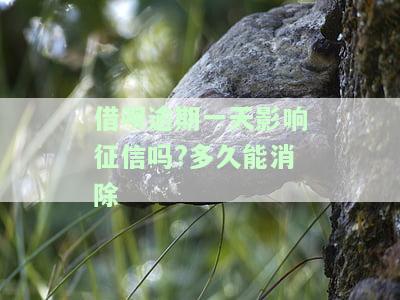 借呗逾期一天会上征信借呗逾期几天上征信，借呗逾期一天会上征信记录吗，借呗逾期一天影响征信吗?