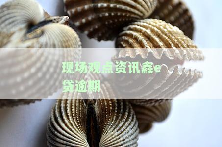 鑫e贷好下款吗，额度高，上征信吗？