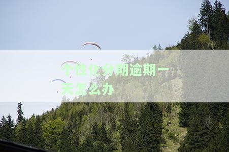 个性化分期后又逾期一天的后果及处理方法