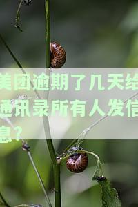 美团逾期了几天给通讯录所有人发信息会怎么样